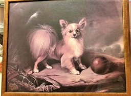Dog with a ball -   print by Malcolm S.M. Tucker 20”x17”